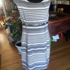 Size 12 Petite Professional Dress